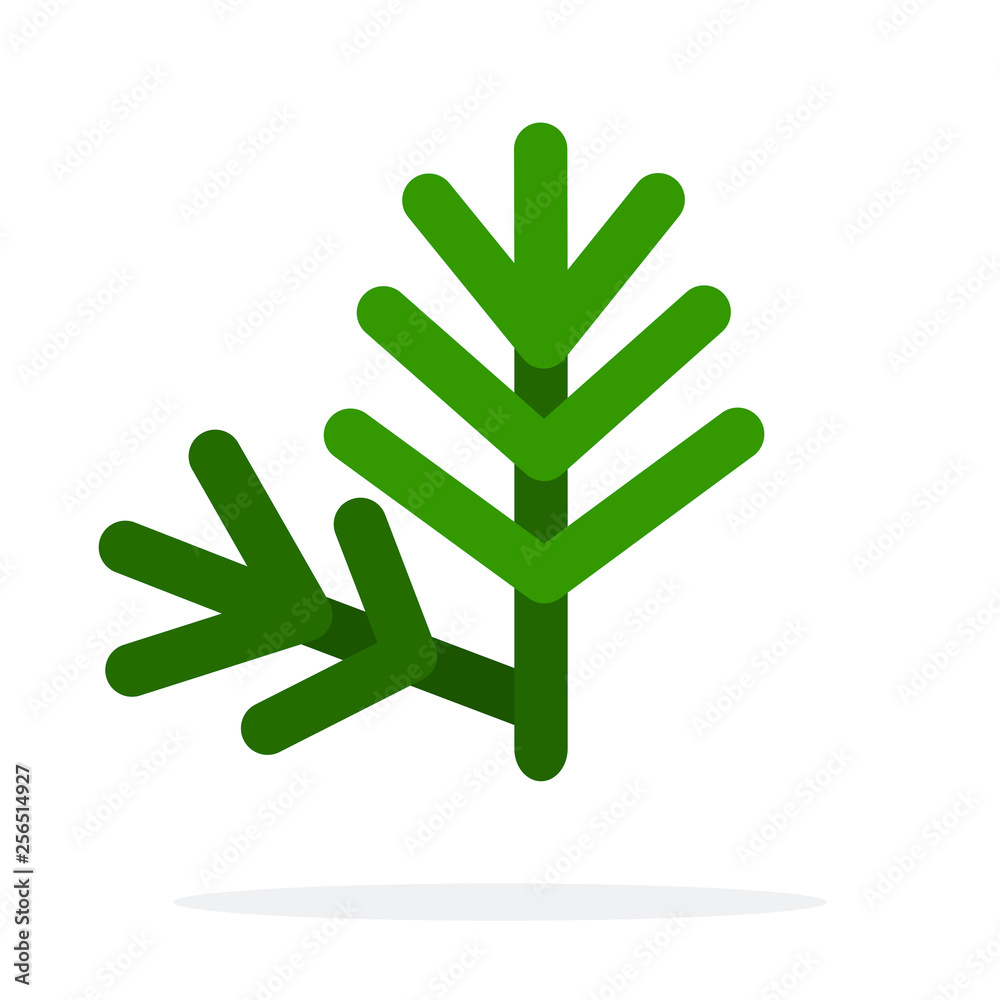 Sprig of dill vector flat isolated Sprig of dill vector flat isolated