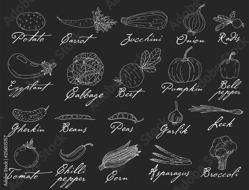 Big set elements with hand drawn vegetables on a chalkboard background.