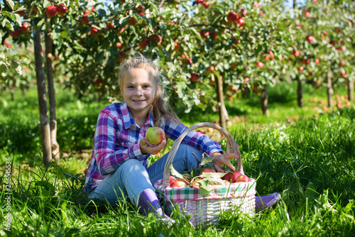 Smiling girl  eating apple in orchard. Children picking fruit in basket on the farm.