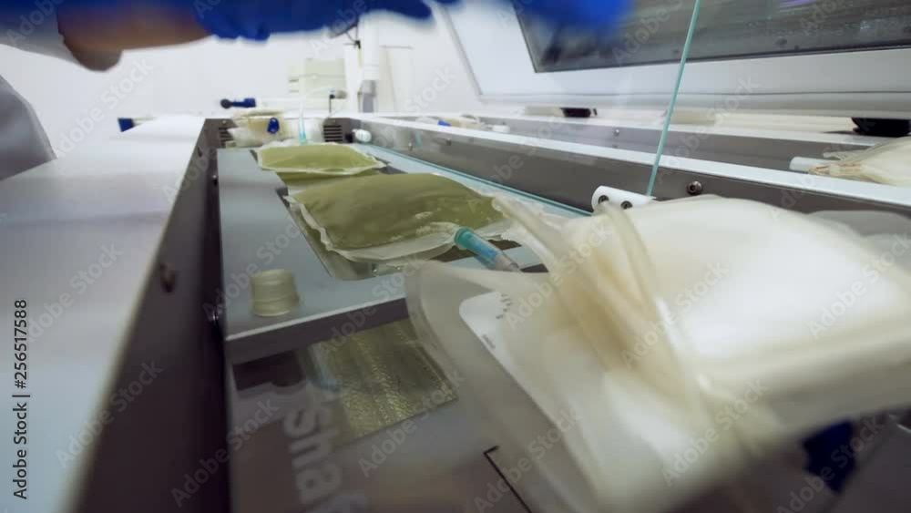 Lab worker is putting plasma plastic bags into a container Lab worker is putting plasma plastic bags into a container