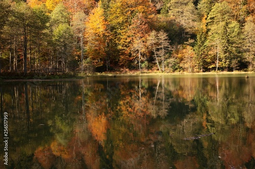 Landscape in the forest with a lake.savsat artvin turkey