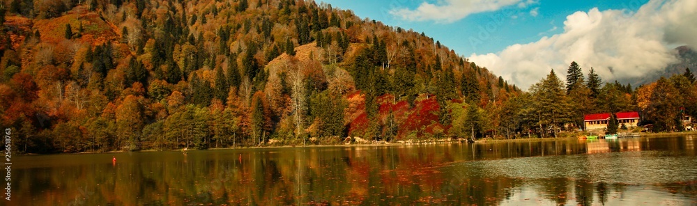 Landscape in the forest with a lake.savsat/artvin/turkey