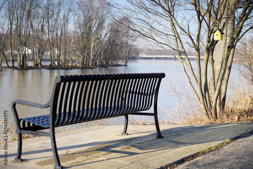 Bench along the river trail with a yellow birdhouse in the tre nearby 