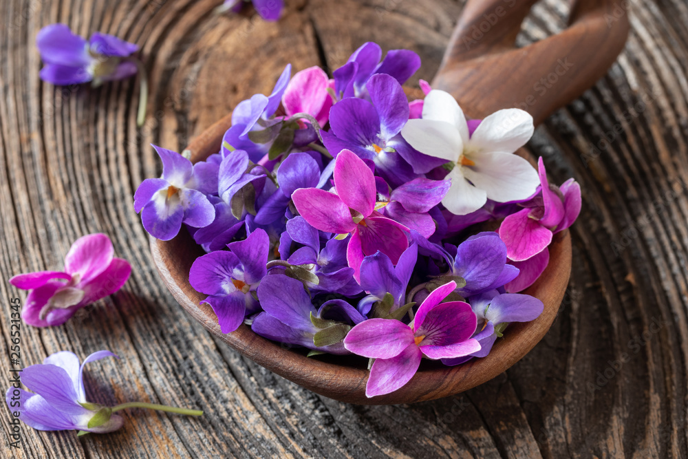 Wood violet flowers on a wooden spoon Wood violet flowers on a wooden spoon