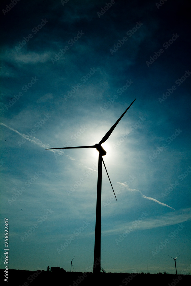 wind