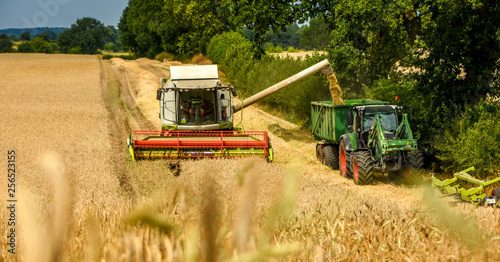 Fotografia combine harvester working on field
