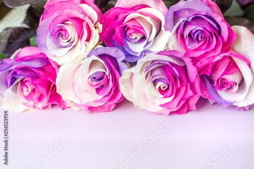 multicolor roses on a pink background.