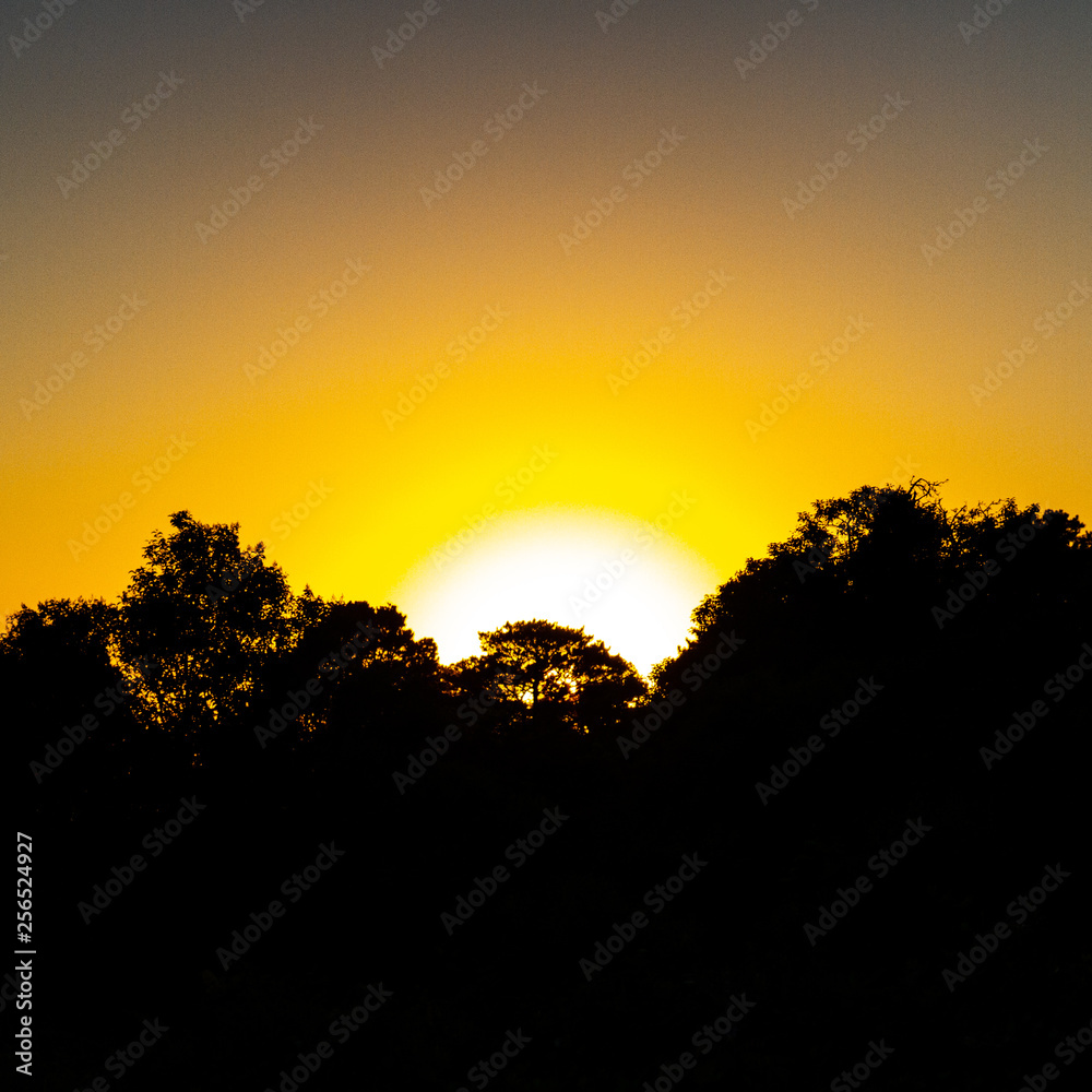 Obraz premium Sunrise Sillhouette