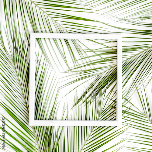 Texture tropical palm leaf with white frame for text on white background. Flat lay  top view