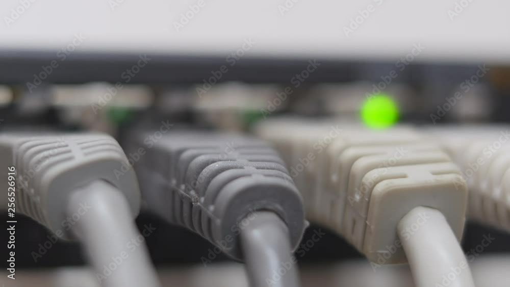 Data Cables In The Gigabit Network Switch Data Cables In The Gigabit Network Switch