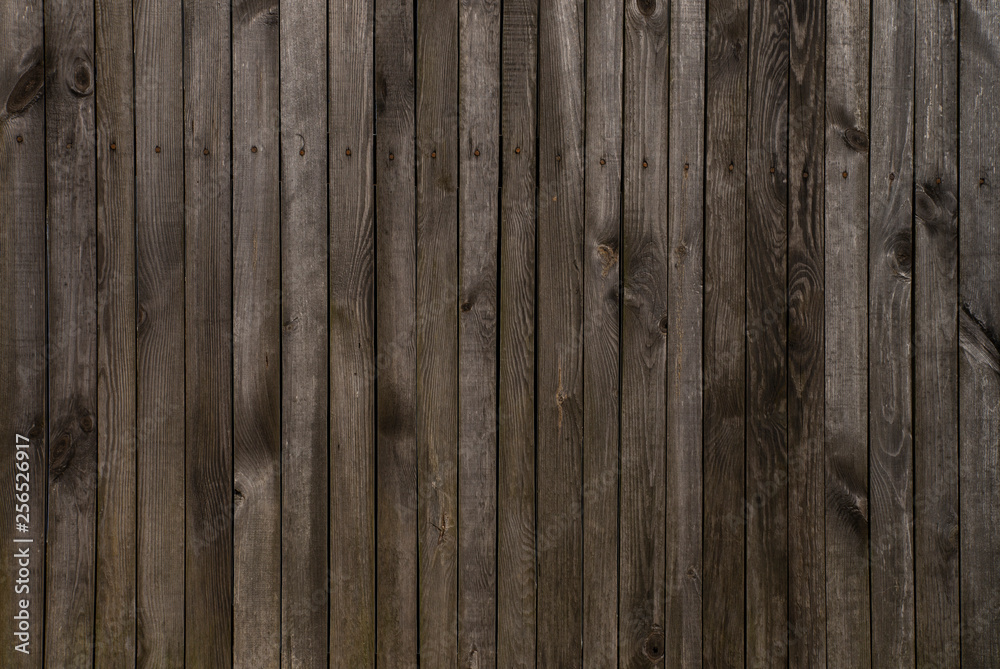 Obraz premium wood texture. background old panels