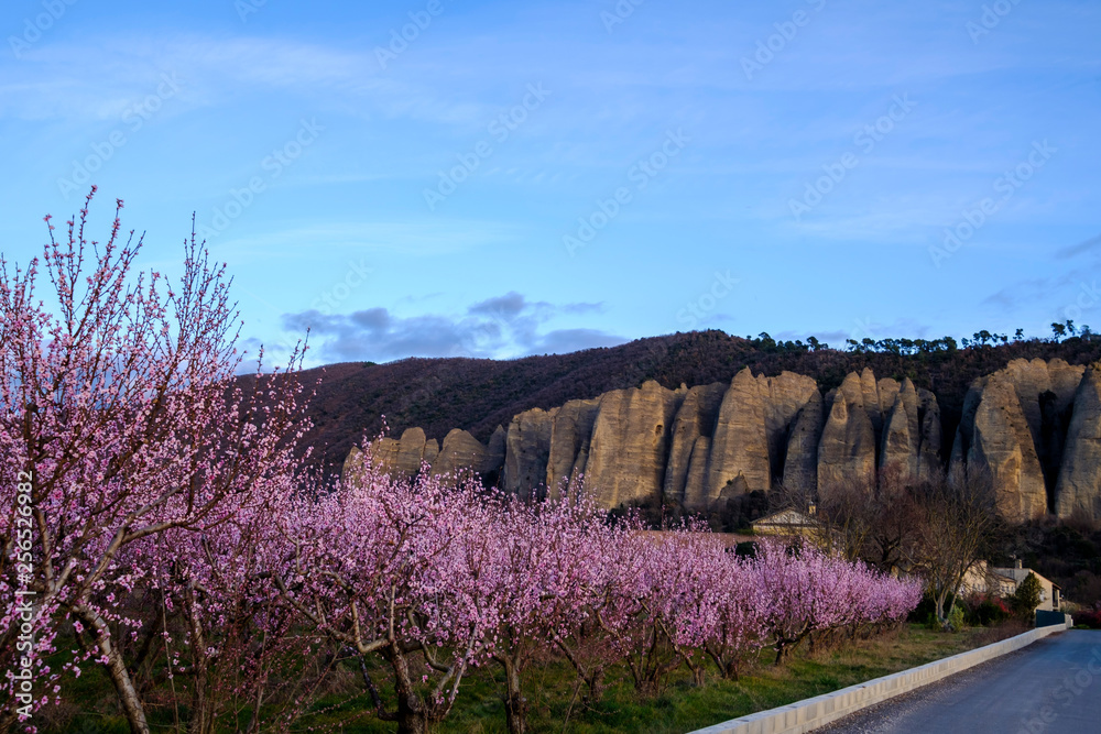 Arbres de pêche en fleurs, vue sur les rochers du village Les Mées, nommées 