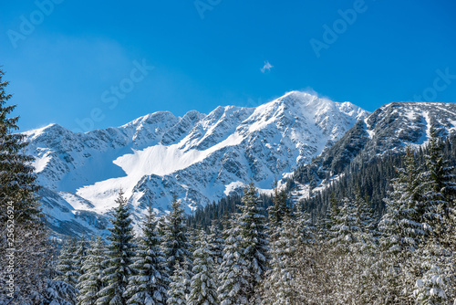 winter in Slovakia Tatra mountains. peaks and trees covered in snow