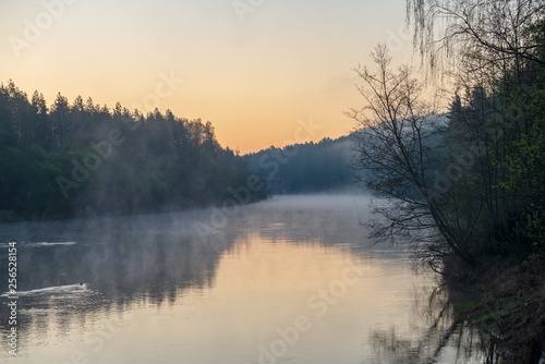 beautiful misty morning on the natural forest river Gauja in Latvia