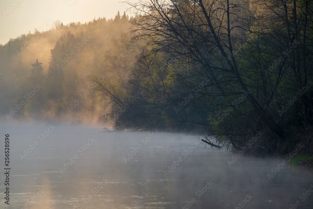 beautiful misty morning on the natural forest river Gauja in Latvia beautiful misty morning on the natural forest river Gauja in Latvia