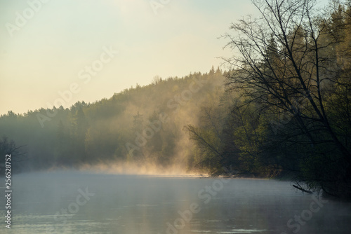 beautiful misty morning on the natural forest river Gauja in Latvia