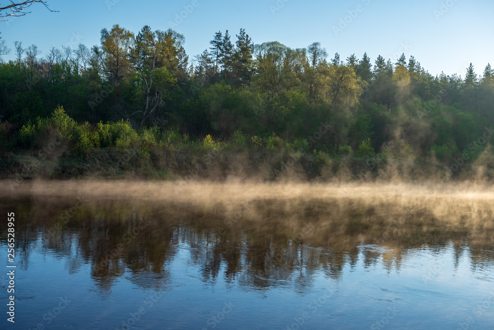 beautiful misty morning on the natural forest river Gauja in Latvia beautiful misty morning on the natural forest river Gauja in Latvia