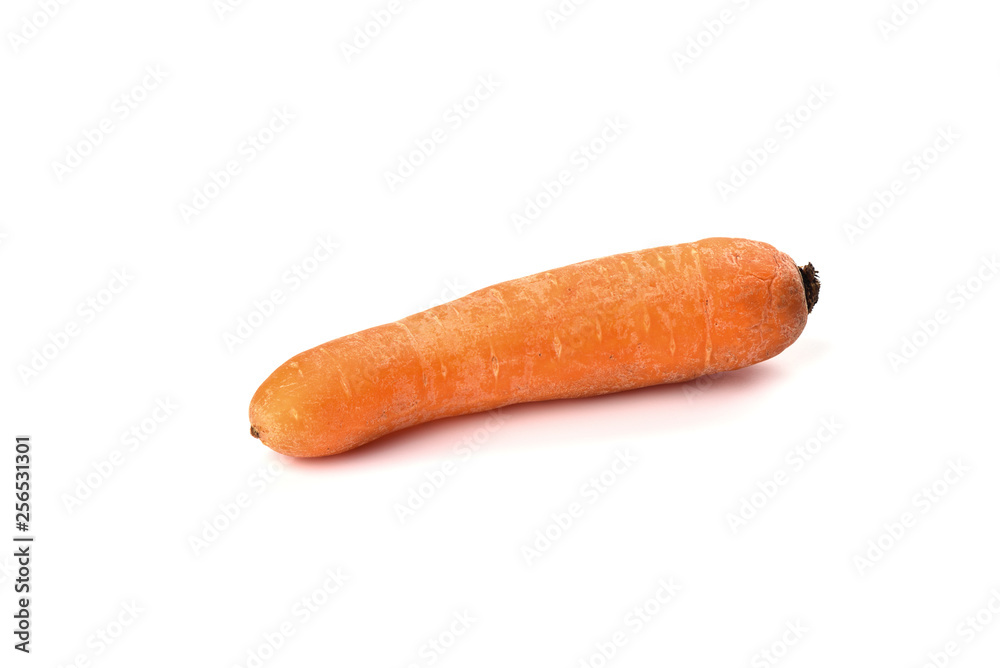 Washed carrot isolated on white background. Copy space Washed carrot isolated on white background. Copy space