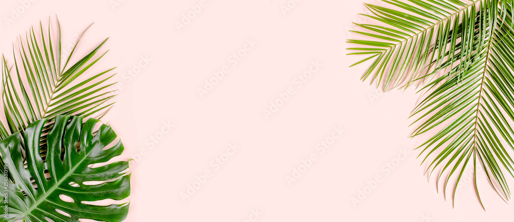 Tropical palm leaves Monstera on pink background. Flat lay, top view minimal concept.