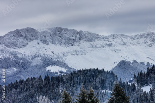 Bucegi Mountains Romania