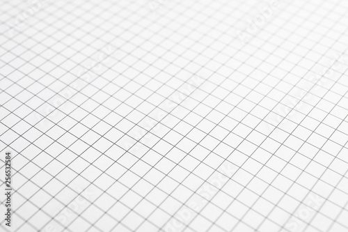Sheet of notebook with grid texture as background, space for text © Atlas