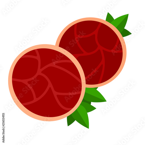 Pieces of beef ham vector flat isolated