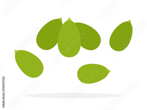 Peeled Pumpkin Seeds vector flat isolated