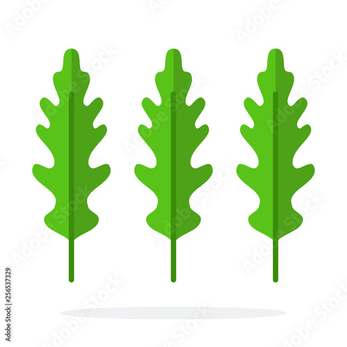 Three Leaves of arugula flat isolated