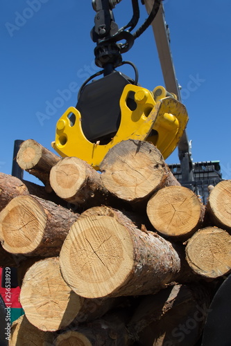 Fényképezés crane with gripper for logs