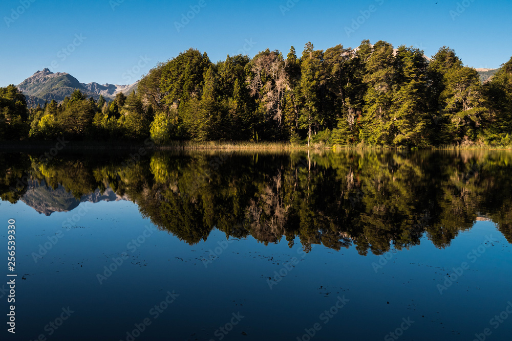 Landscape with trees and reflection on water. 