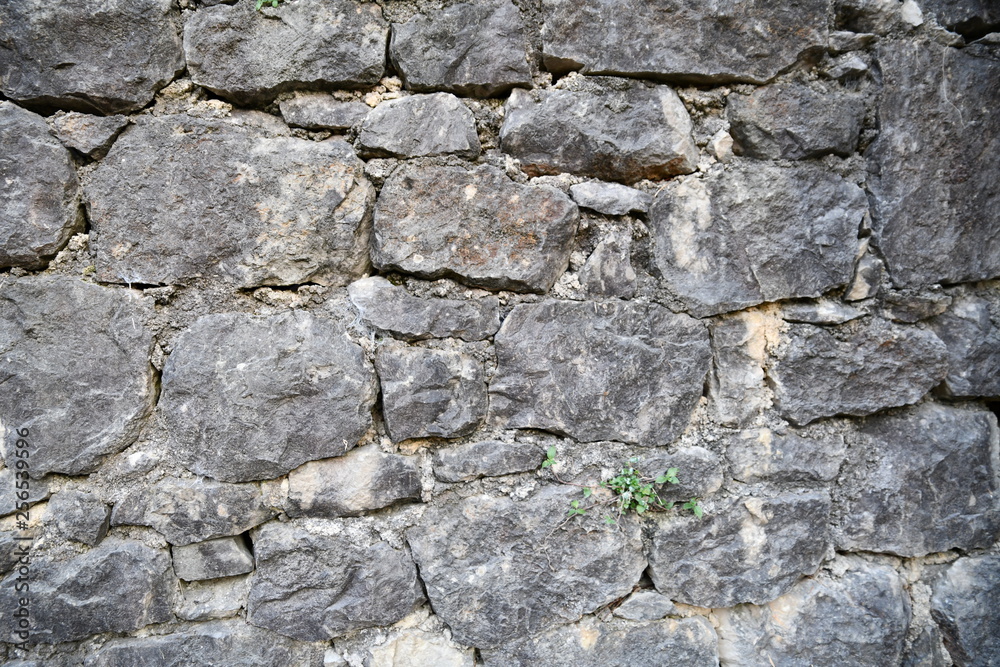 old stone wall with green moss