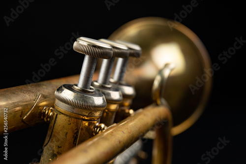 Canvas Print Old coated patina trumpet on a dark table