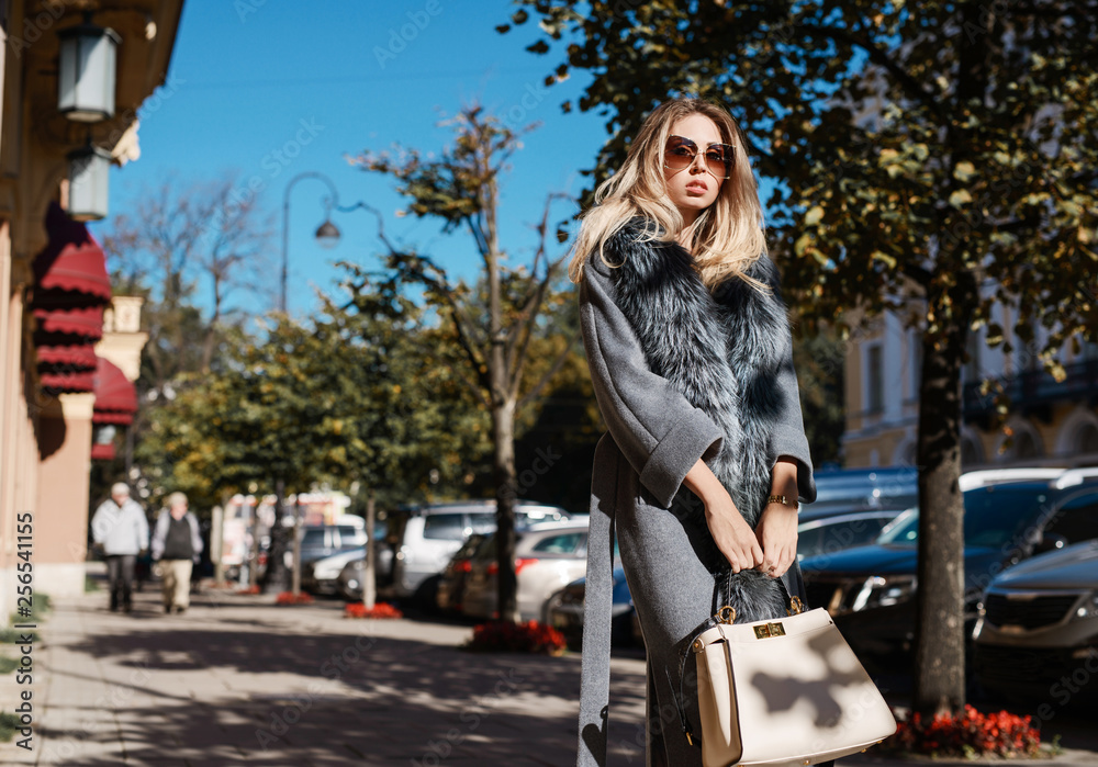 Beautiful young woman in sun glasses and fur coat posing with luxury bags and accesories while standing walking outdoors. Female fashion city lifestyle outfit spring or autumn shopping concept Beautiful young woman in sun glasses and fur coat posing with luxury bags and accesories while standing walking outdoors. Female fashion city lifestyle outfit spring or autumn shopping concept