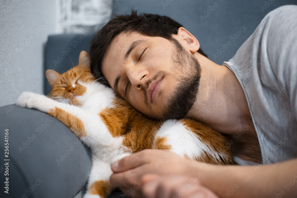 Sleeping young man and red white cat. Sleeping young man and red white cat.