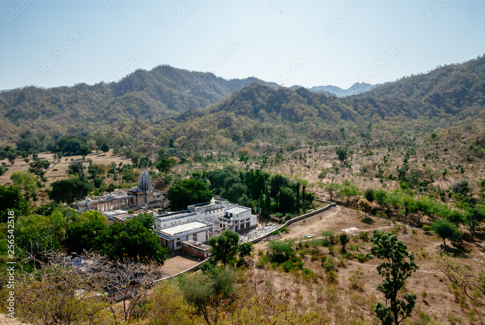 Landscape with Sun Temple in Ranakpur, Rajasthan, India