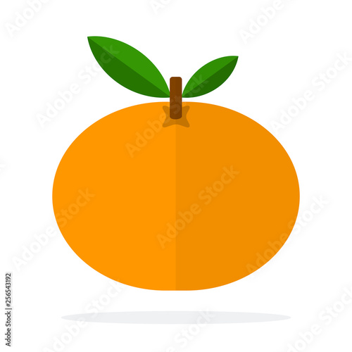 Whole mandarin with a leaf flat isolated