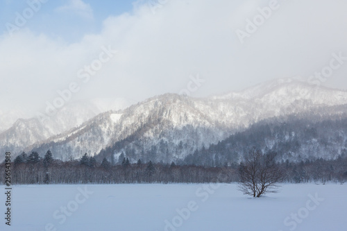 Fototapeta Naklejka Na Ścianę i Meble -  静寂のオコタンペ湖
