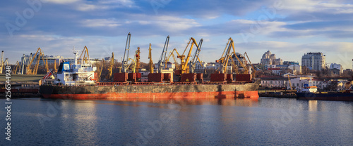 Loading grain to the ship in the port. Panoramic view of the ship, cranes, and other infrastructures of the port.