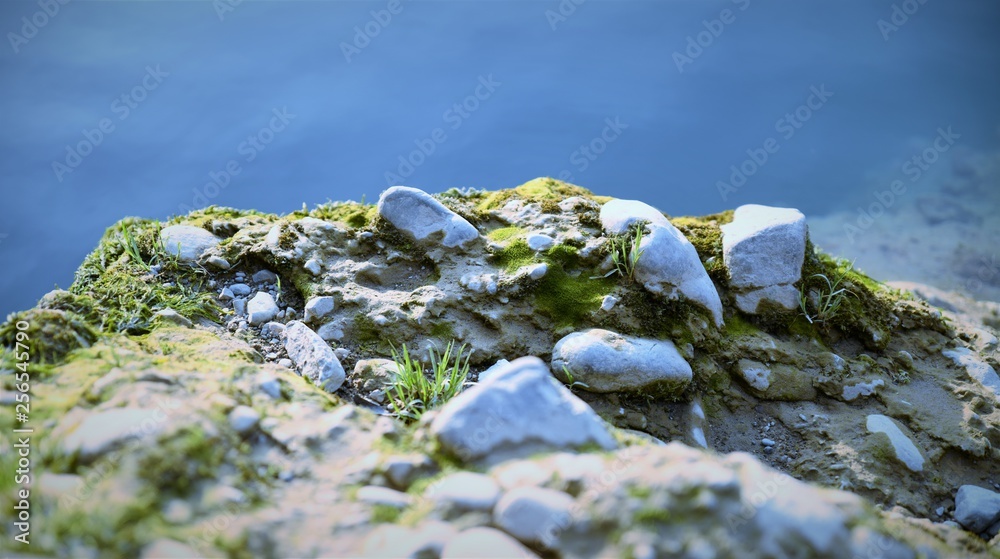 rocky shore of a mountain river with grass and moss