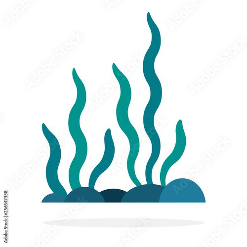 Spirulina algae flat isolated vector
