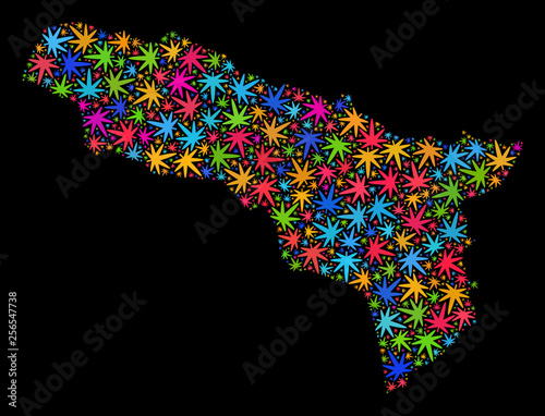 Bright vector cannabis Abkhazia map collage on a black background. Template with multi-colored herbal leaves for cannabis legalize campaign. Vector Abkhazia map is constructed with cannabis leaves.