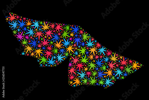 Bright vector cannabis Acre State map collage on a black background. Template with psychedelic herbal leaves for cannabis legalize campaign. Vector Acre State map is formed from herbal leaves.