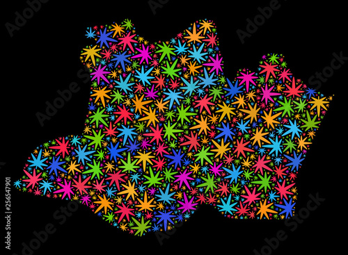 Bright vector cannabis Amazonas State map mosaic on a black background. Template with bright herbal leaves for marijuana legalize campaign.