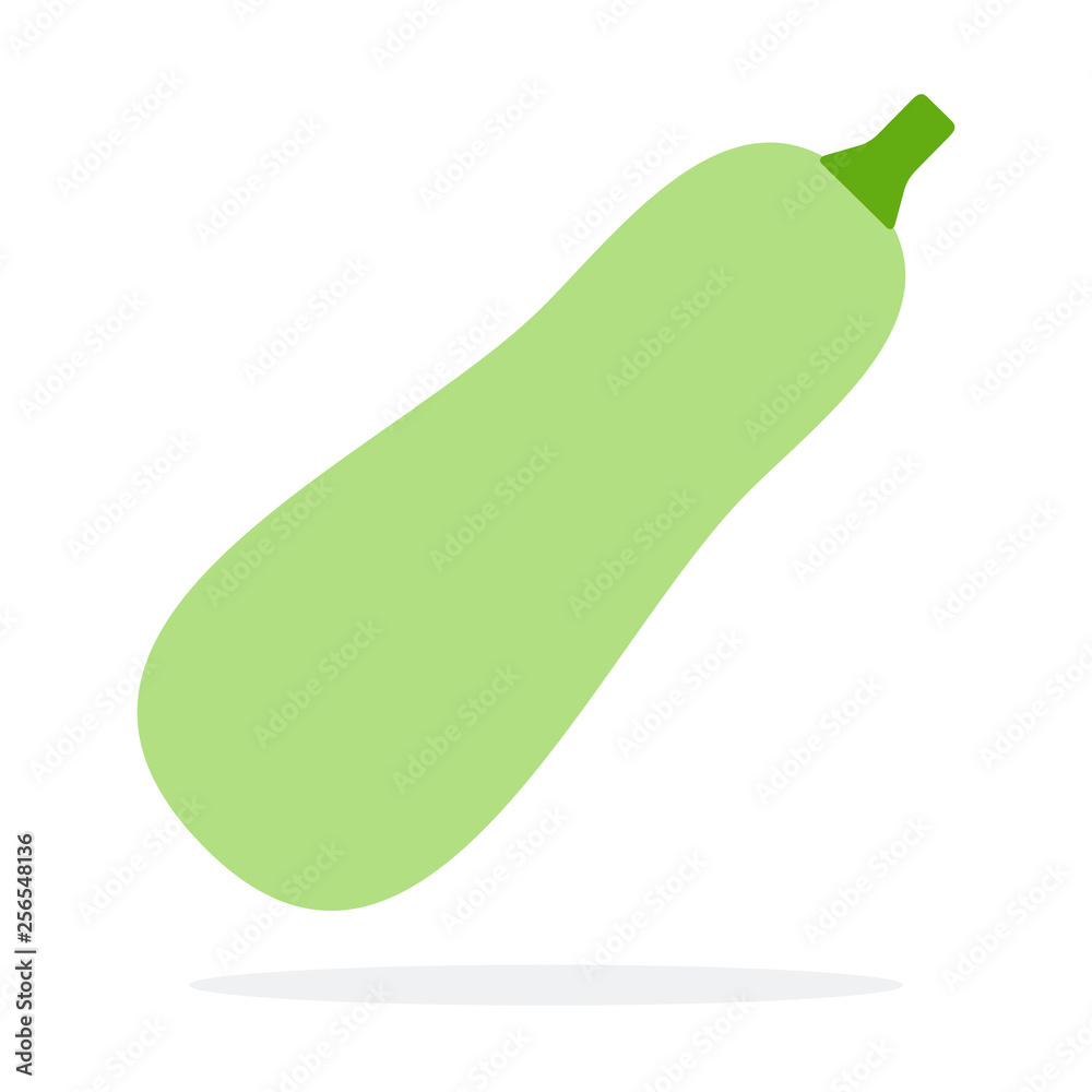 Green zucchini vector flat isolated Green zucchini vector flat isolated