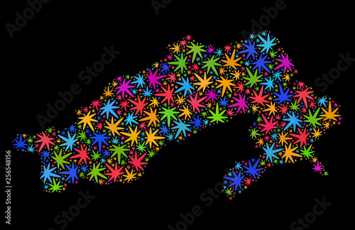 Bright vector cannabis Arunachal Pradesh State map collage on a black background. Concept with psychedelic herbal leaves for cannabis legalize campaign.
