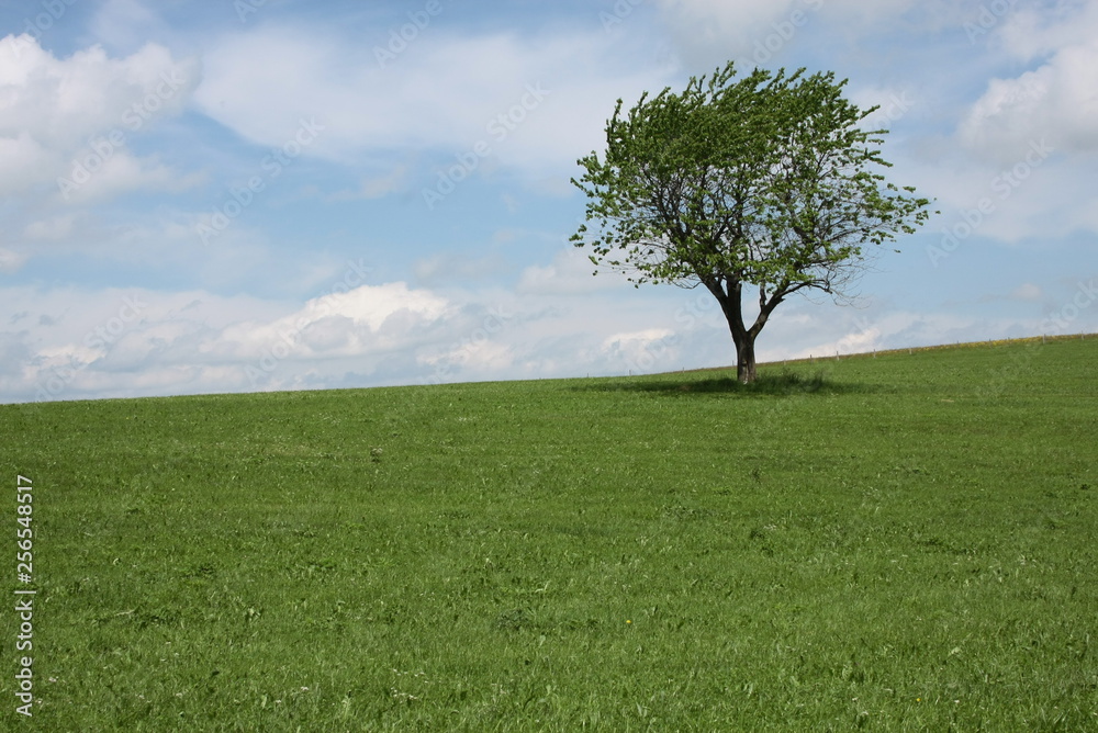 Obraz premium voralpenland