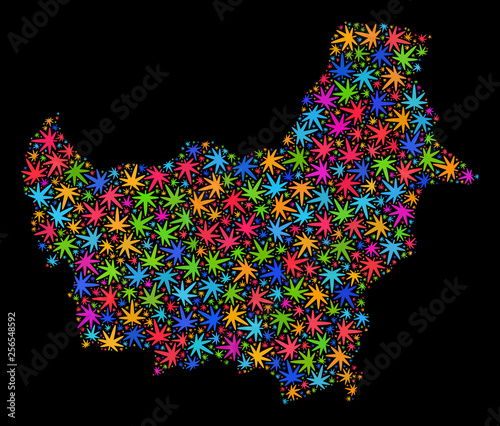 Bright vector marijuana Borneo map mosaic on a black background. Template with colorful weed leaves for weed legalize campaign. Vector Borneo map is created with marijuana leaves.