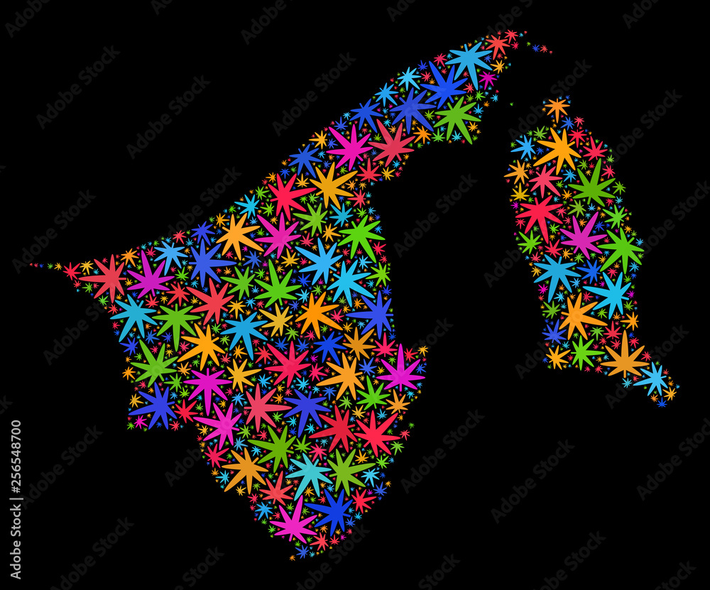 Bright vector marijuana Brunei map mosaic on a black background. Concept with colorful weed leaves for weed legalize campaign. Vector Brunei map is formed with weed leaves. Bright vector marijuana Brunei map mosaic on a black background. Concept with colorful weed leaves for weed legalize campaign. Vector Brunei map is formed with weed leaves.