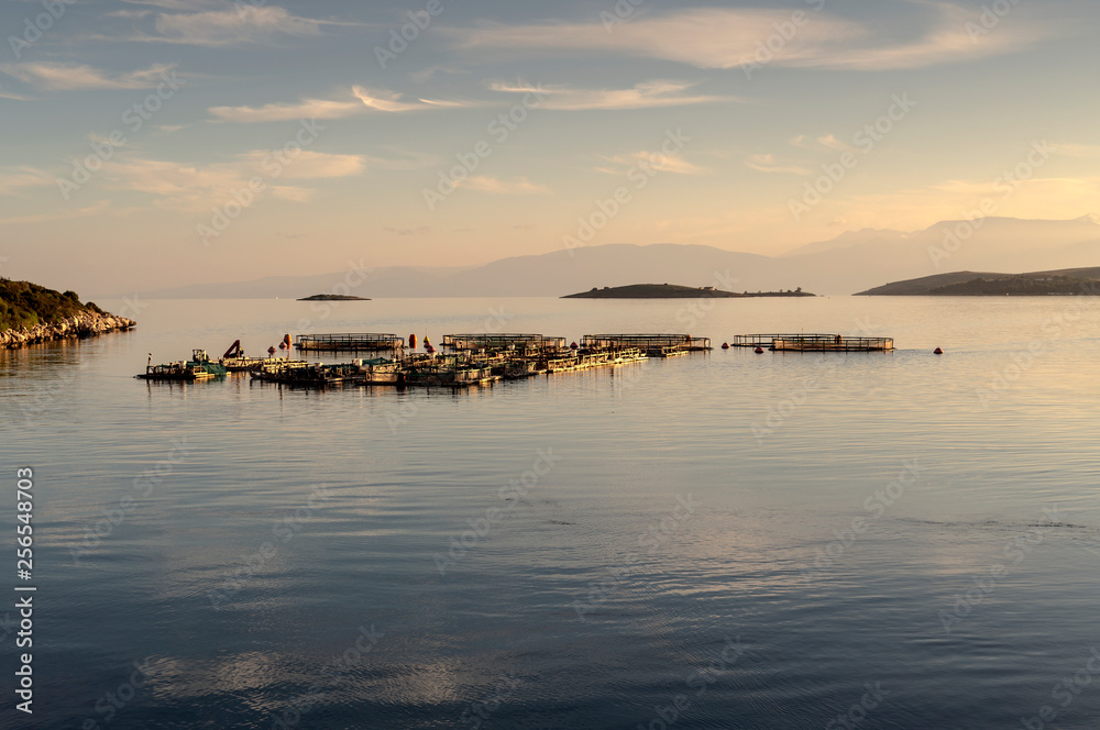 Fototapeta premium Growing fish in the open sea (Greece)