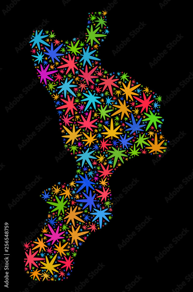 Bright vector marijuana Calabria region map collage on a black background. Concept with psychedelic weed leaves for weed legalize campaign.